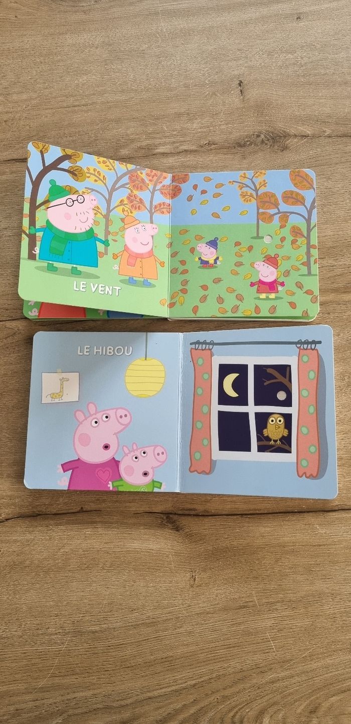 Lot livres sonores Peppa Pig - photo numéro 5