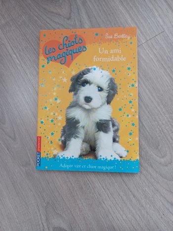 Livre Les chiots magiques Tome 8 en bon état
