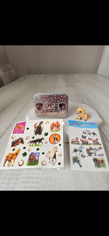 Boîte-figurine et stickers chevaux 