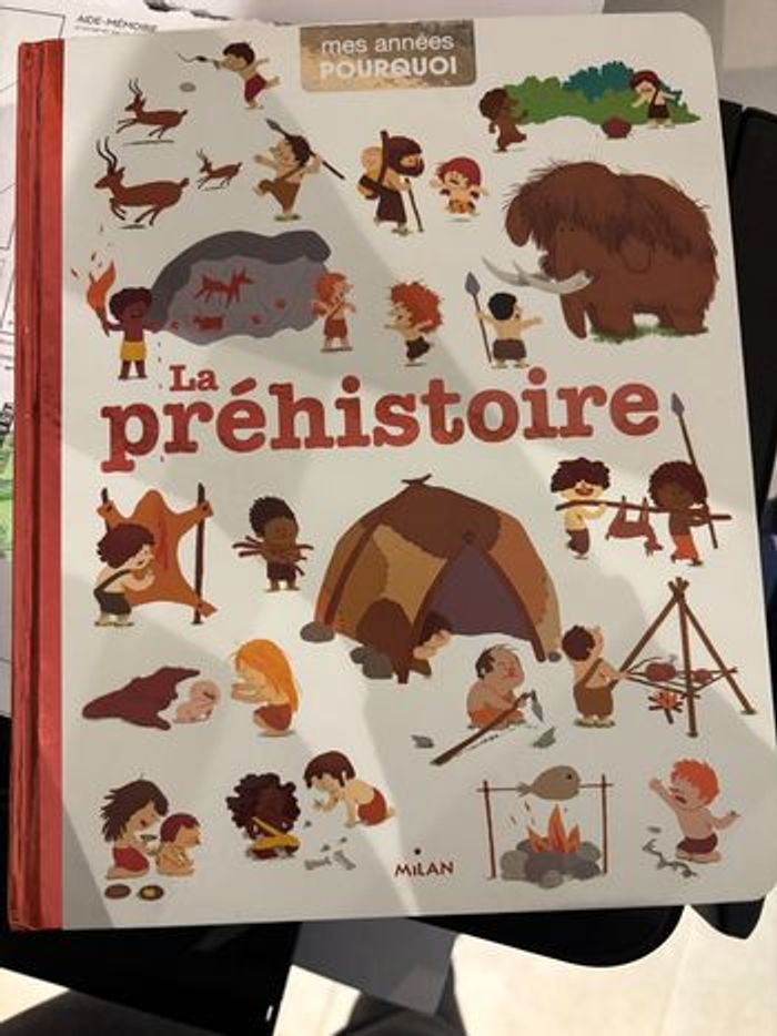 Livres mes années pourquoi - photo numéro 4