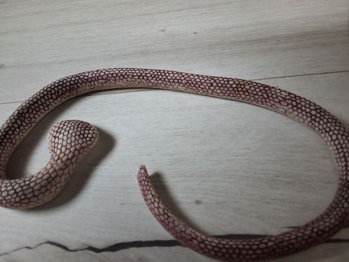 Jouets lot de 2 serpents - photo numéro 4