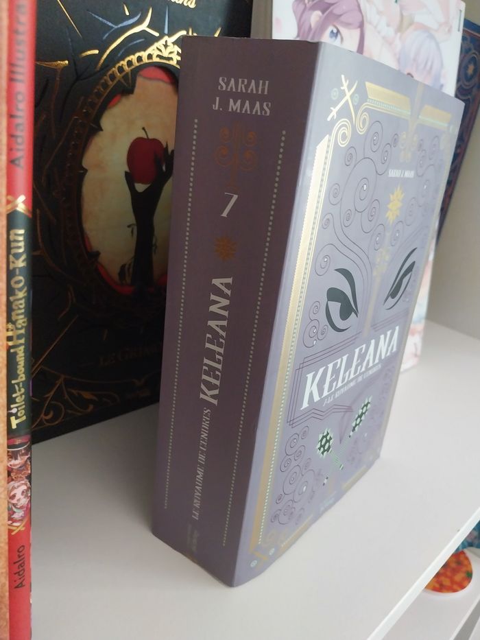 Roman Keleana tome 7 Le Royaume de Cendres- Sarah J. Maas La Martinière - photo numéro 4