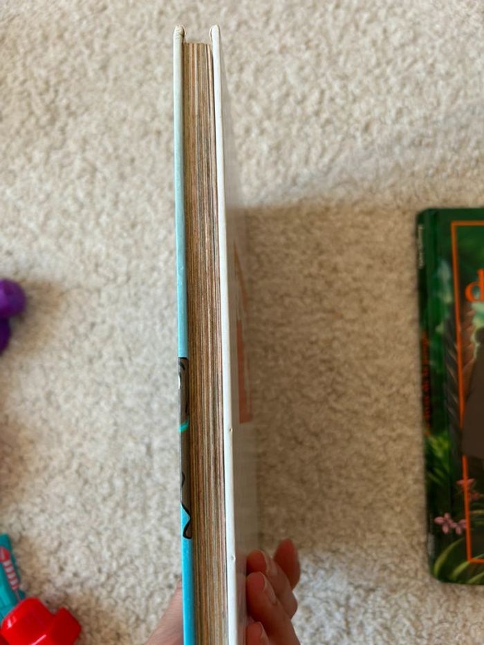 Livres Disney - photo numéro 5