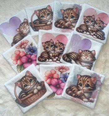 10 lingettes lavables chat