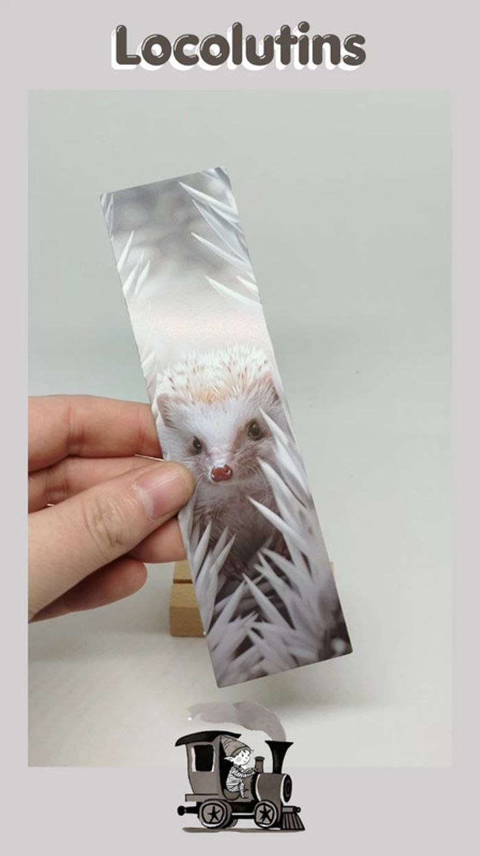 🚂 Marque page hérisson - photo numéro 2