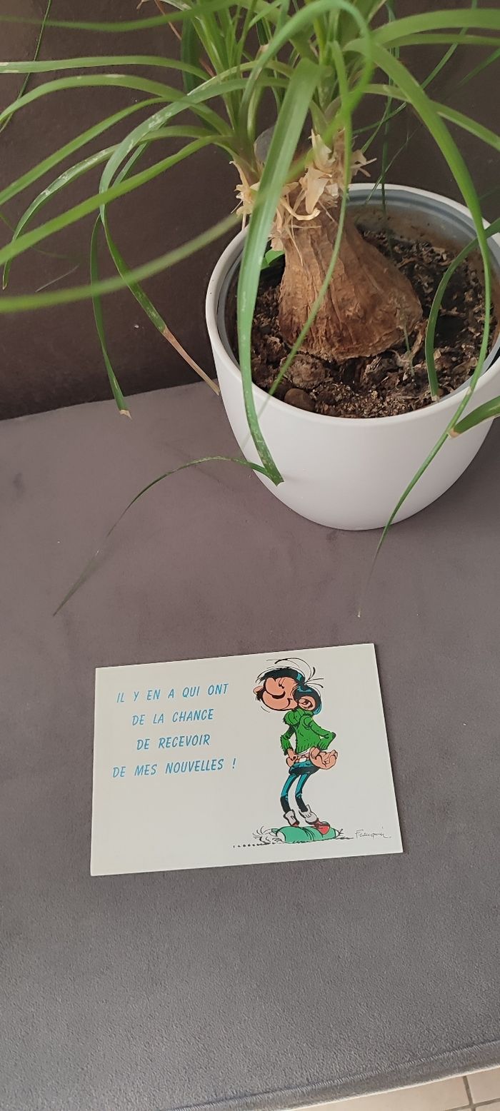 Carte postale Gaston Lagaffe - photo numéro 2