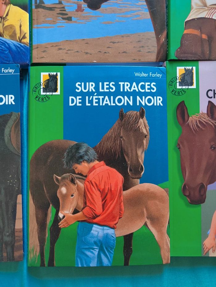 Lot de 7 livres l'étalon noir - photo numéro 6