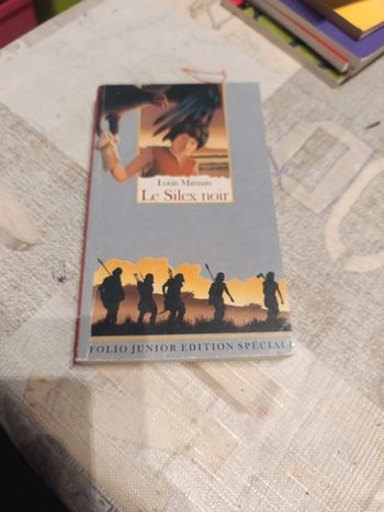 Le silex noir de Louis mireman