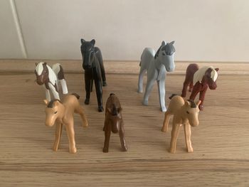 Chevaux/poneys/poulains Playmobil