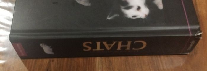 La grande encyclopédie des chats - photo numéro 7