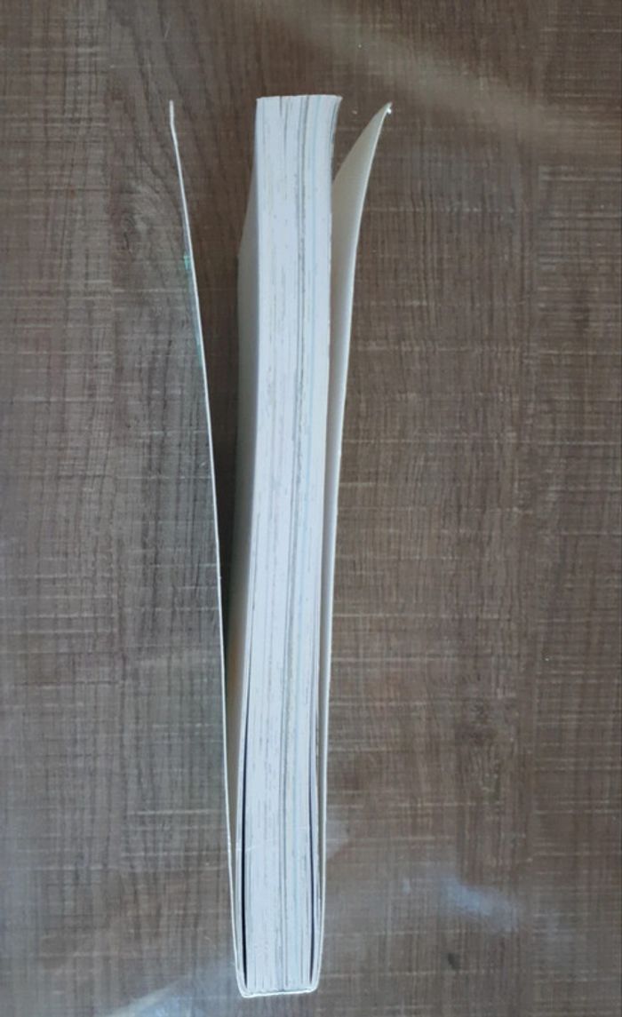 La course en livre - photo numéro 3