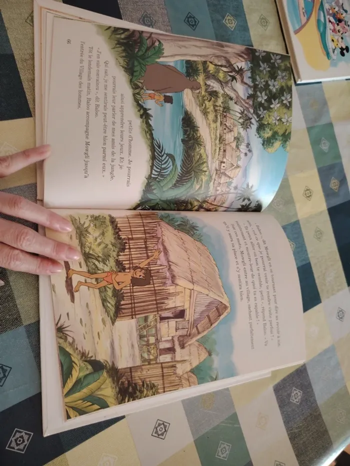 Livre Disney - photo numéro 13