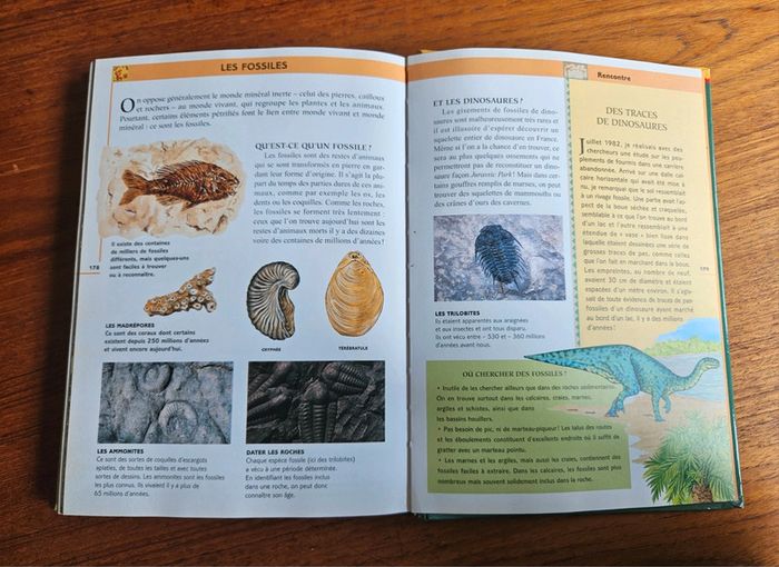 "L'encyclo nature".
190 pages.
ISBN : 2.7324.2429.3 - photo numéro 8