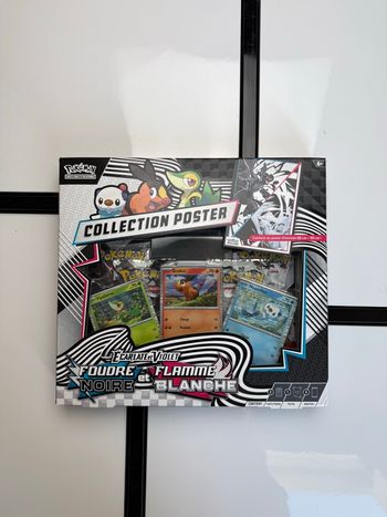 Coffret Poster EV10.5