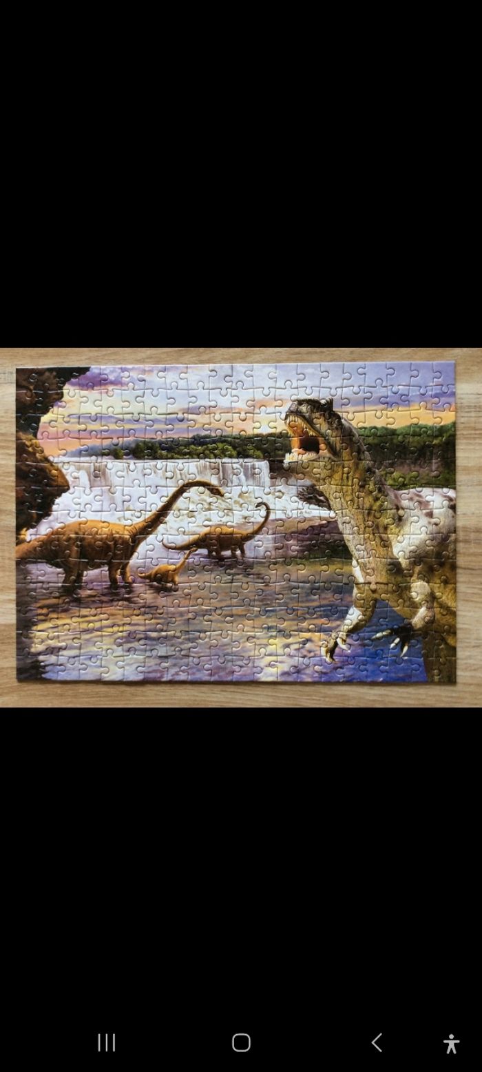 Puzzle Dino - photo numéro 2