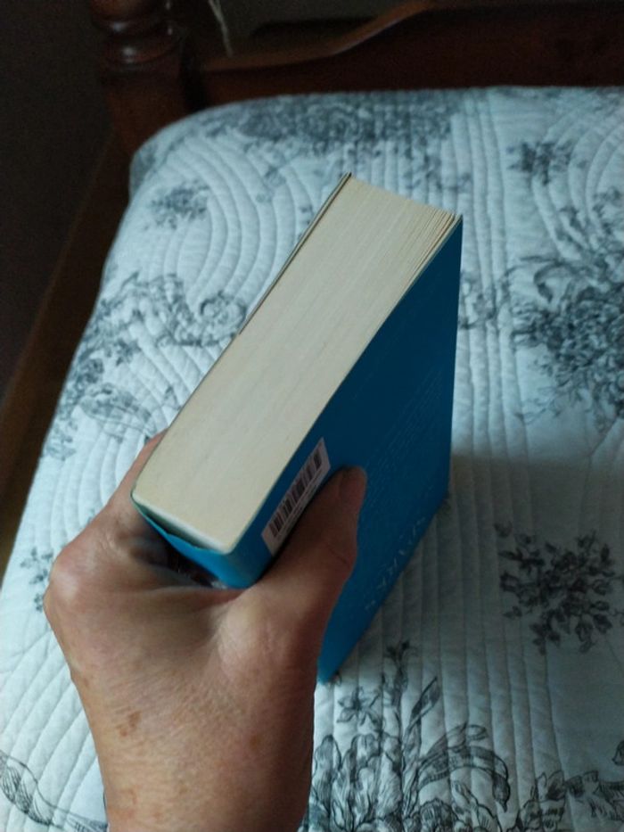 Le Porte Bonheur de Nicholas Sparks - photo numéro 6