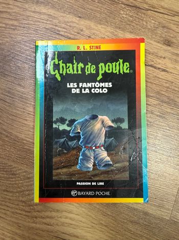 Chair de Poule n°32 – Les Fantômes de la Colo – R.L. Stine | Bayard Poche
