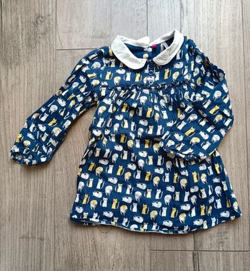 Robe chat Orchestra 2 ans