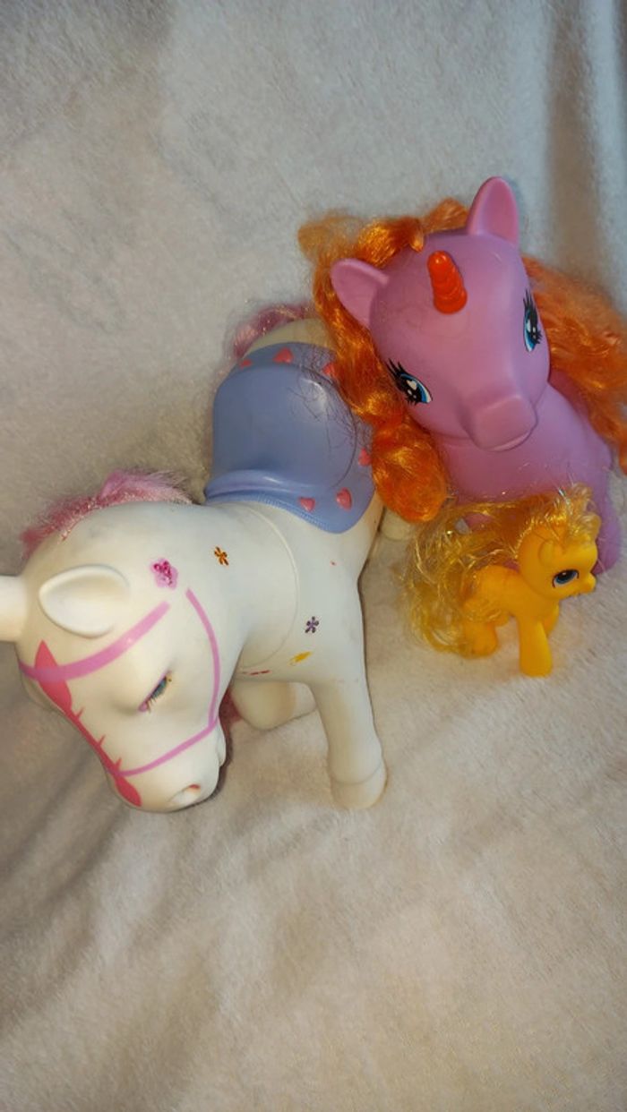 Lot Poney - photo numéro 4