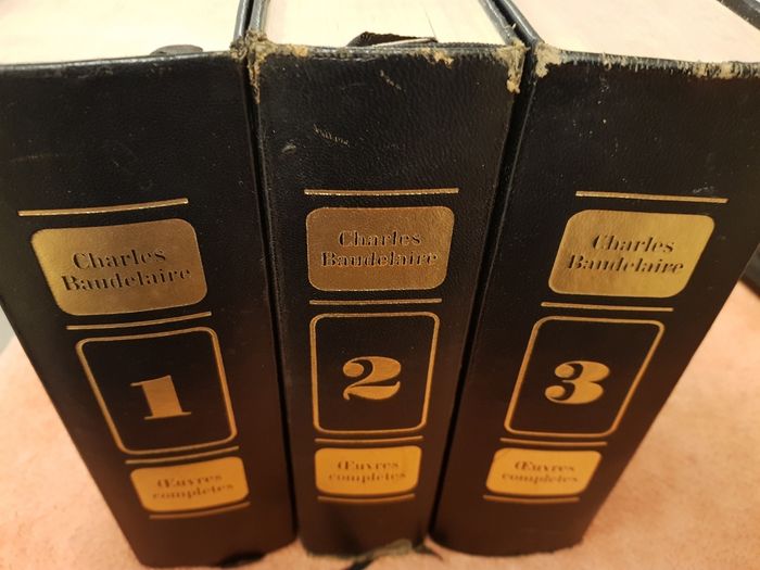 Charles  Baudelaire - photo numéro 3