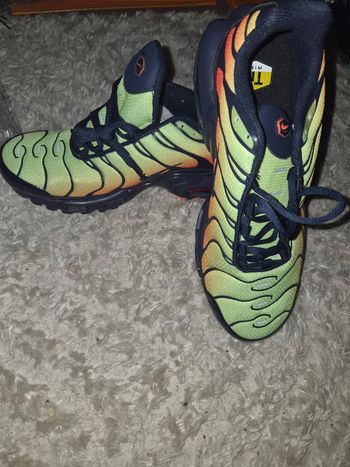 Basket tn 