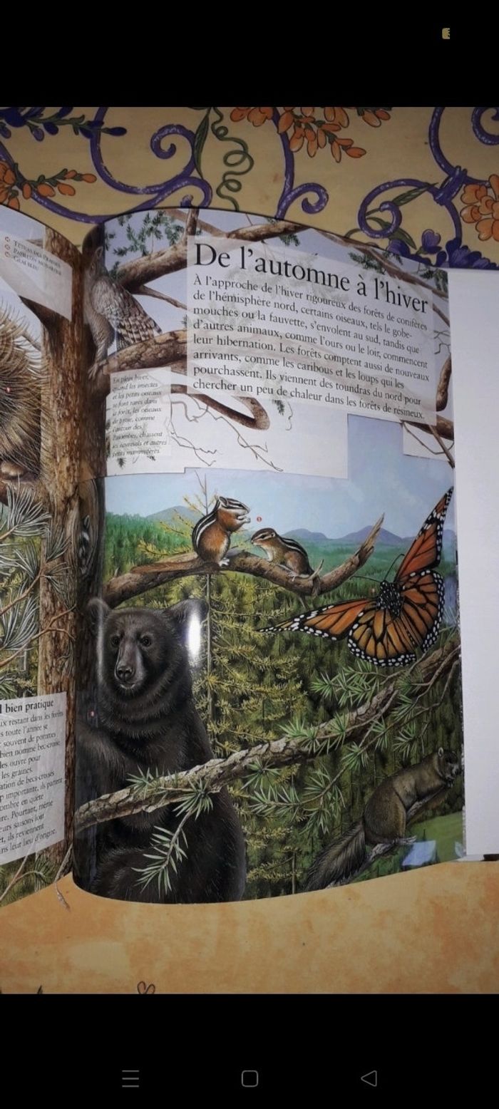 Les quatres saisons - photo numéro 2