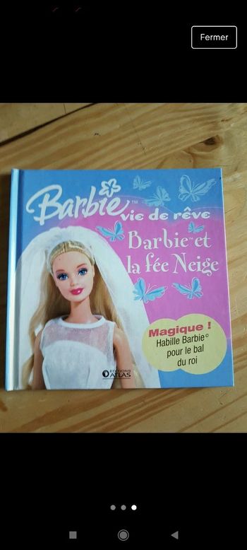 Livre barbie vie de rêve
