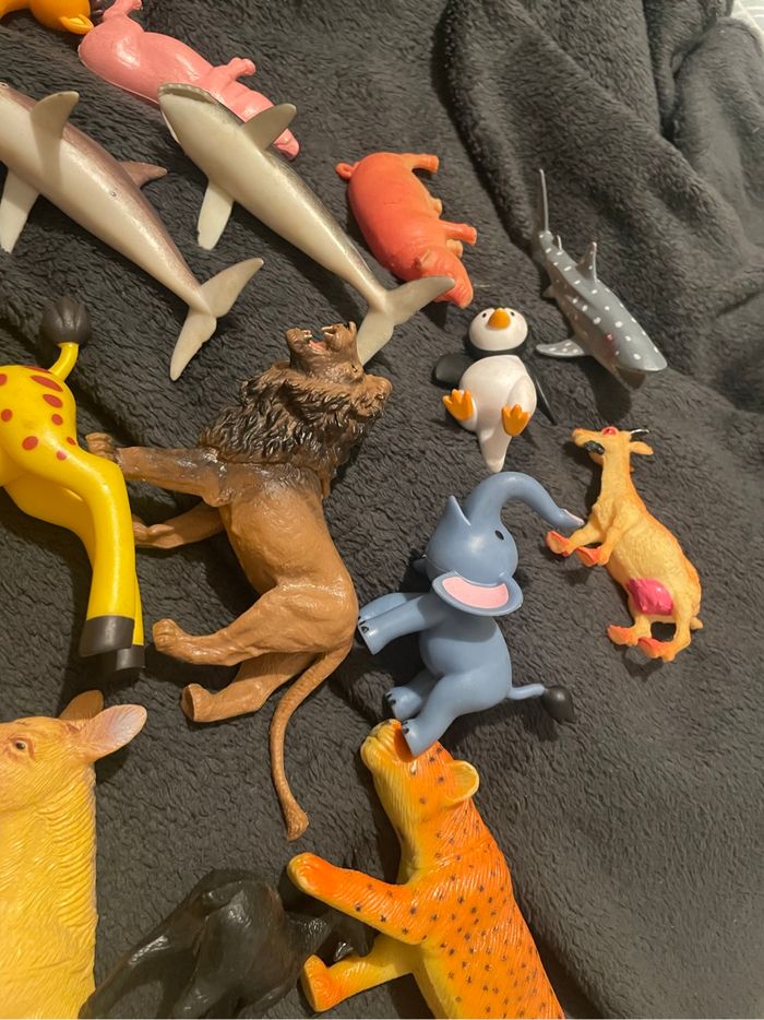 Lot animaux - photo numéro 8