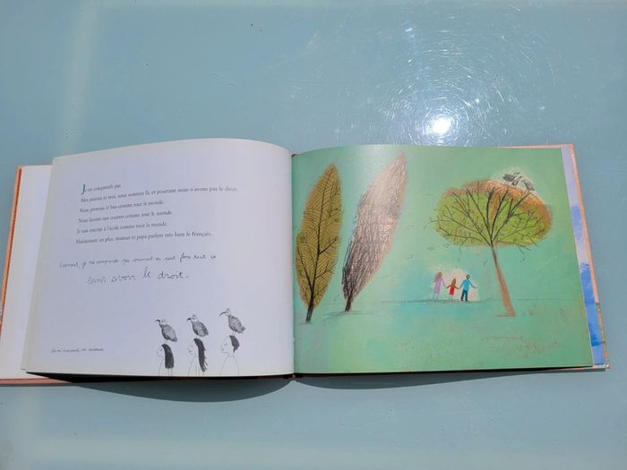 Très beau livre L'oiseau 🦅 de Mona, éditions Rue du Monde (31) - photo numéro 5