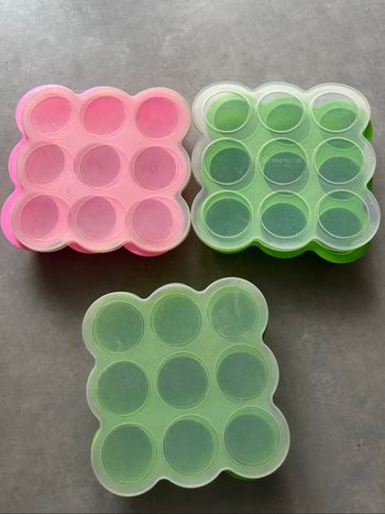 Moules silicone congelés