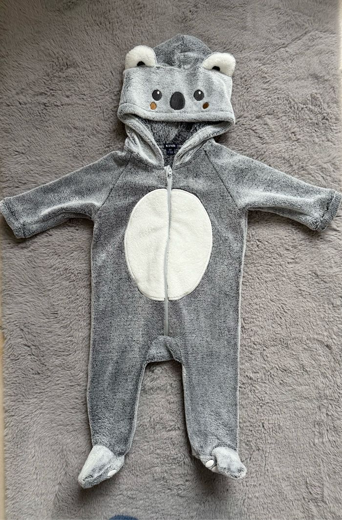 Combi koala