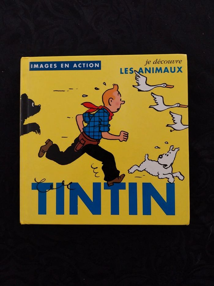 Tintin
