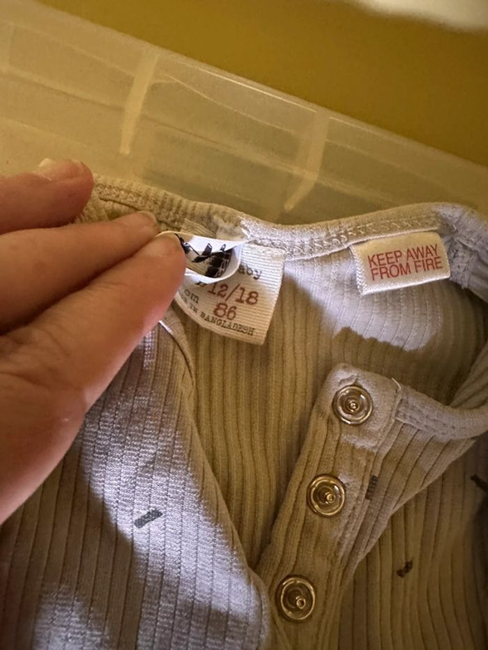 Grenouiller Zara 86 - photo numéro 3