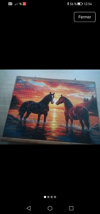 Puzzle 1000 pieces 