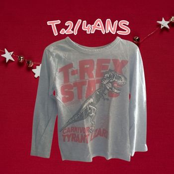 T-shirt manche longue 2/4ans
