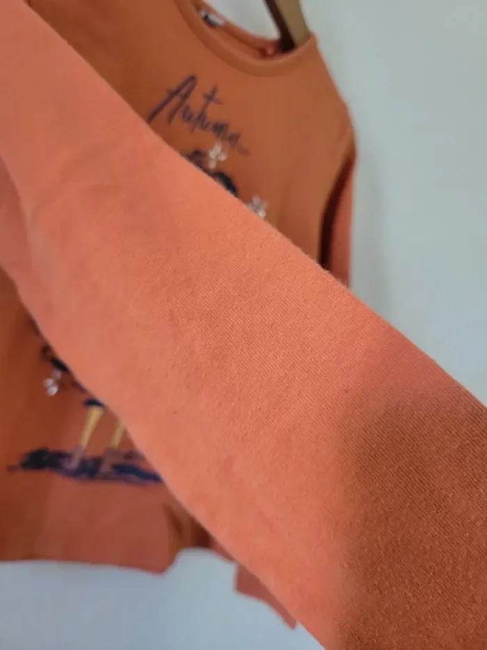 Lot de 2 tee-shirts à manches longues fille 👧 6 ans - photo numéro 10