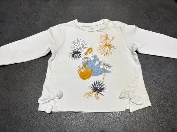 Tee-shirts ML