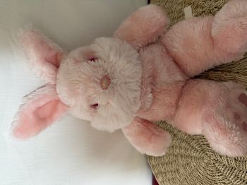 peluche lapin rose yeux rose