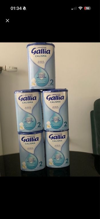 Gallia Calisma 2 em âge 