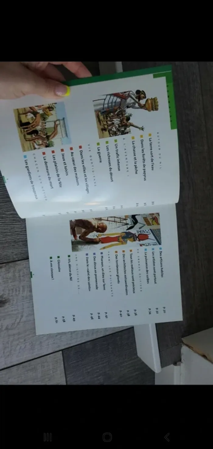 Livre Les Egyptiens - de la 1re dynastie à la conquête d'Alexandre - photo numéro 5