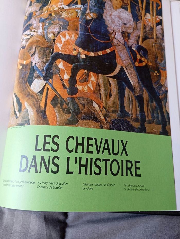 Les plus beaux chevaux du monde de - photo numéro 8