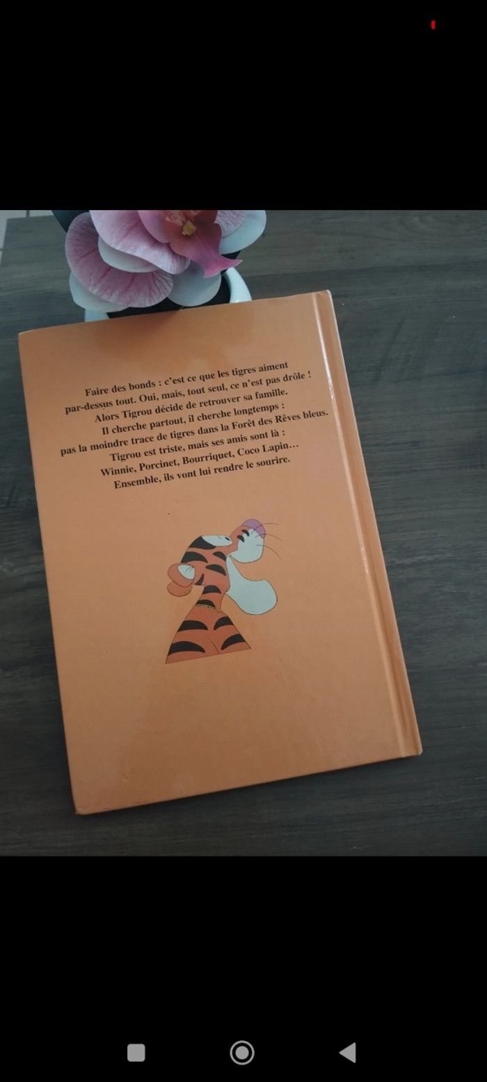 Livre tigrou - photo numéro 2