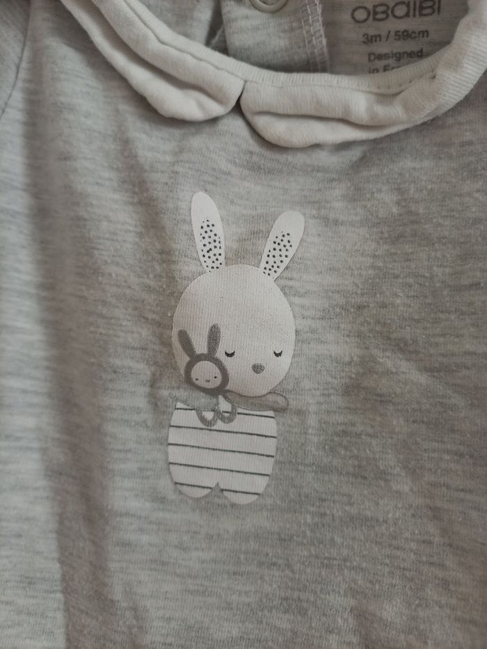 Bodie 3 mois obaïbi - photo numéro 3