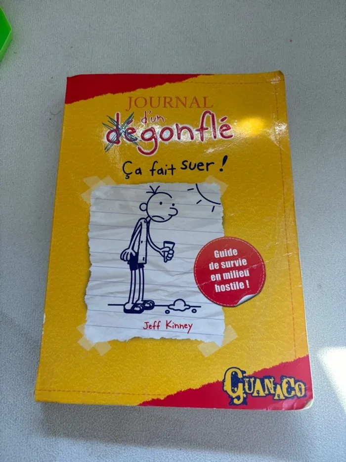 Livre journal d’un dégonflé tome 4