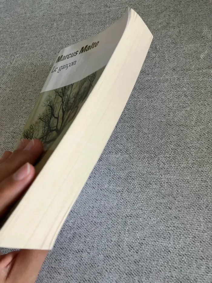 Le Garçon – Marcus Malte – Édition Folio – Roman historique / initiatique - photo numéro 2