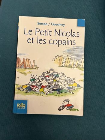 Le petit Nicolas et les copains
