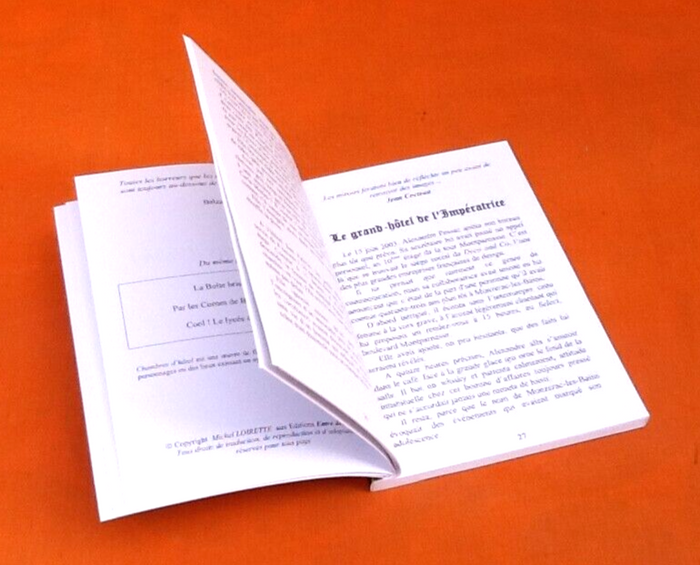 Michel Loirette Chambres d' hôtel Illustrations Annie Décarpes - photo numéro 3