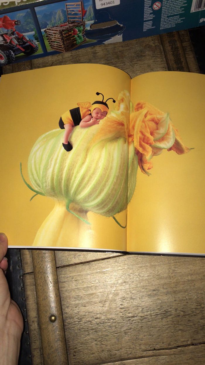 Magnifique livre Anne Geddes - photo numéro 4