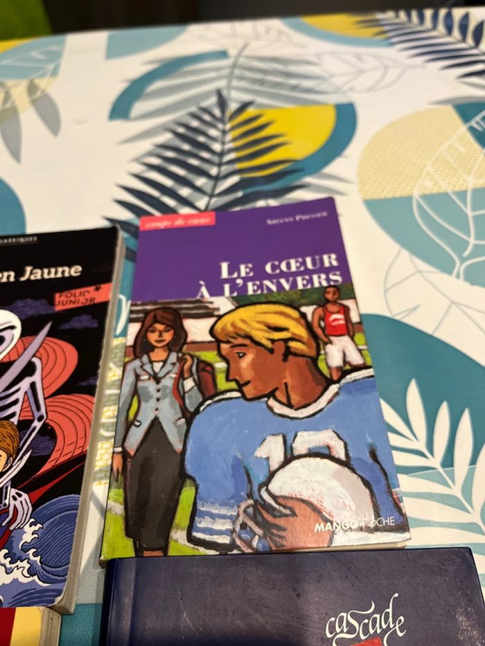 Livre ado et pré ado - photo numéro 3