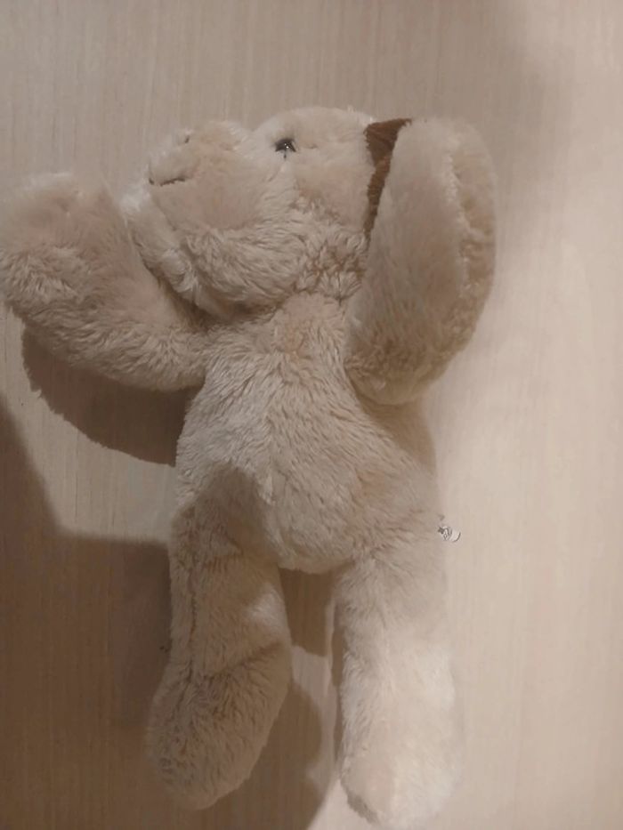 Peluche chien - photo numéro 2